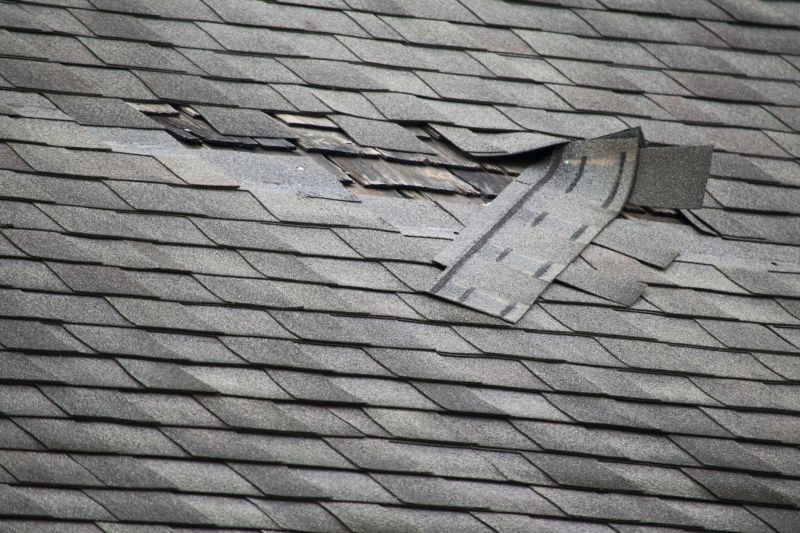 Shingle Patch Repair